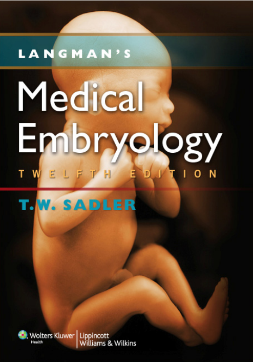 Langman's Medical Embryology 12th ed