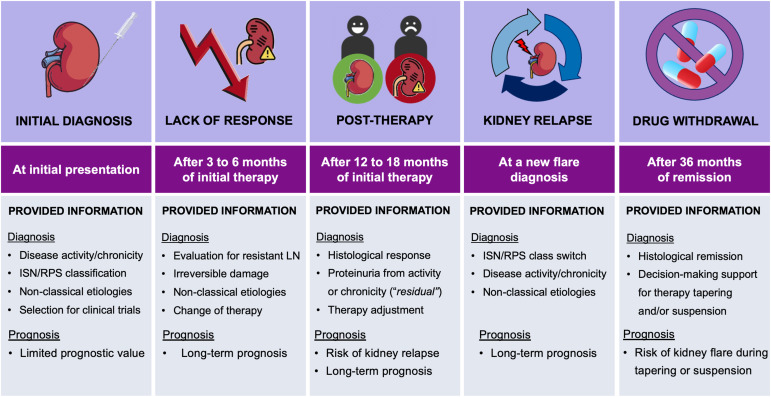 Clinicopathological Features and Predictors of Lupus Nephritis: A Case Study Analysis