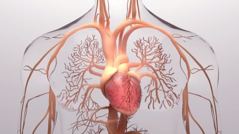 Pulmonary Hypertension : An update