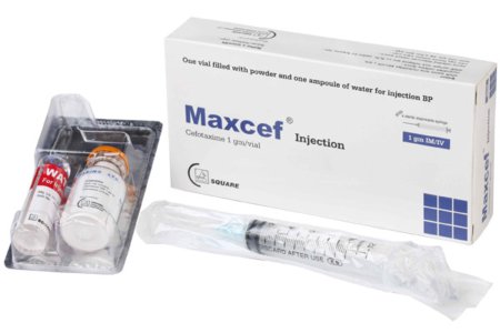 Maxcef IV/IM