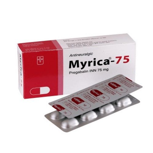 Myrica 75