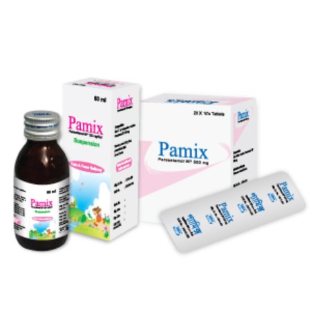 Pamix 500