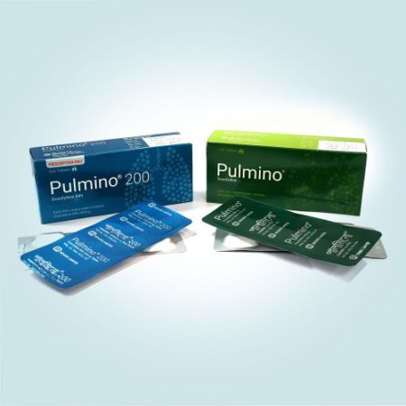 Pulmino 400