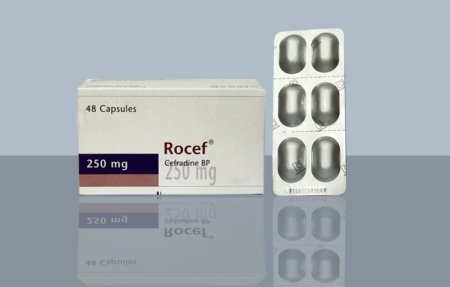 Rocef