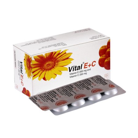 Vital E+C