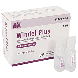 Windel Plus