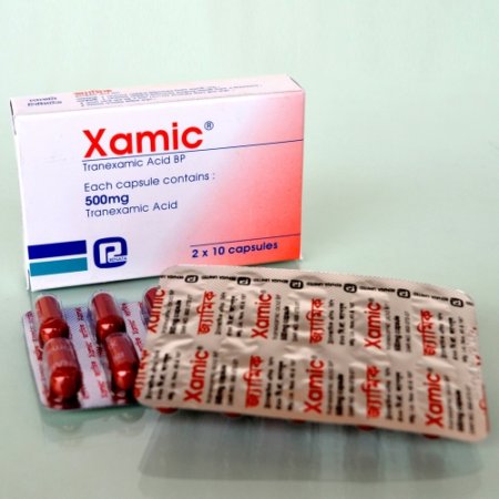 Xamic 500