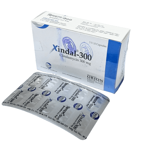 Xindal 300