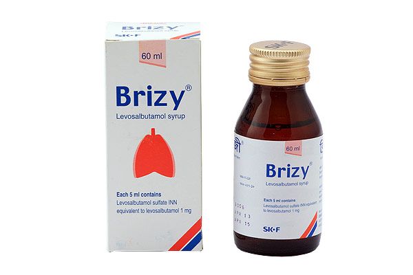 Brizy