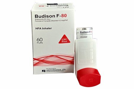 Budison F 80