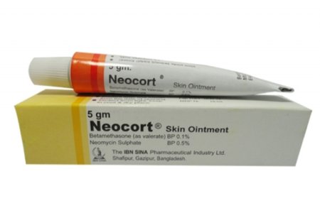 Neocort