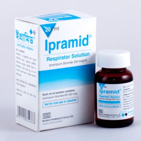 Ipramid Respirator Solution