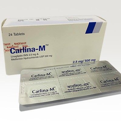 Carlina M 500