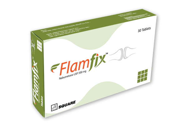 Flamfix 500