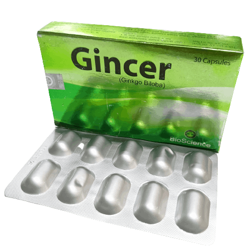 Gincer 60